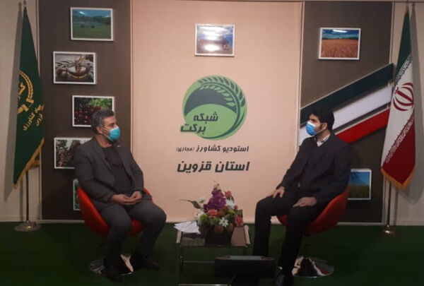 بررسی "موضوع بیمه محصولات کشاورزی" در برنامه استودیو کشاورز استان قزوین