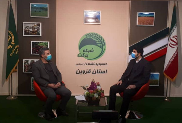 بررسی "موضوع بیمه محصولات کشاورزی" در برنامه استودیو کشاورز استان قزوین
