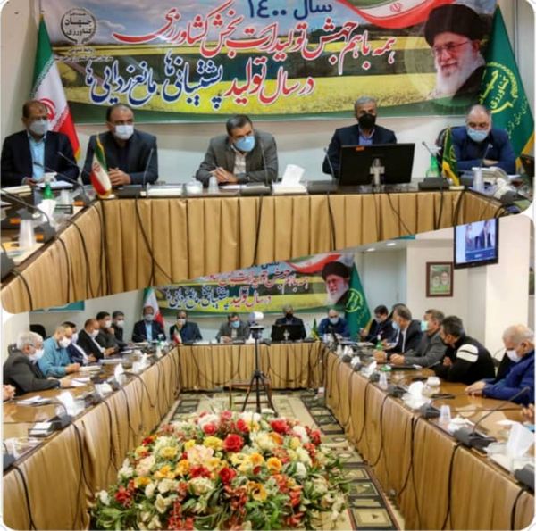 تجاریسازی صنعت مرغداری خوزستان اولویت قرارگاه امنیت غذایی
