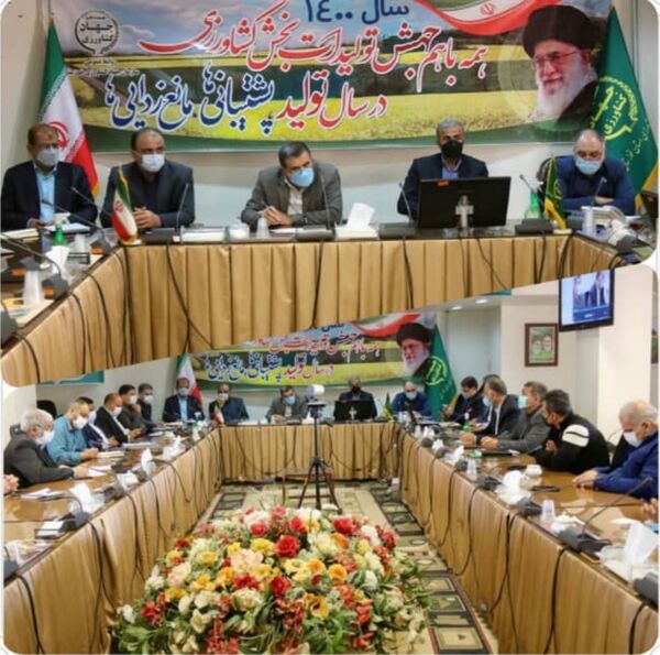 تجاری‌سازی صنعت مرغداری خوزستان اولویت قرارگاه امنیت غذایی 
