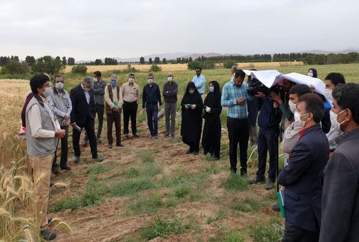 آموزش و ترویج کشاورزی در هر شرایطی، تعطیل نیست