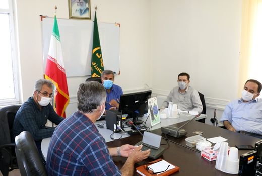 تأمین سهمیه‌ای بیش از 7درصد نهاده‌های مورد نیاز کارخانجات خوراک طیور استان کردستان