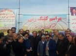 زیرساخت های ایجاد ۱۶۷ گلخانه در استان همدان ایجاد شده است