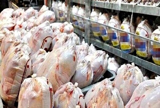 کشف و توقیف ۳۰۰ کیلوگرم مرغ گرم در استان قزوین