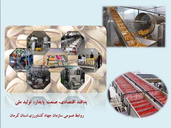 برگزاری مانور مقابله با عرضه آفتکشهای غیر مجاز و تقلبی در استان کرمان