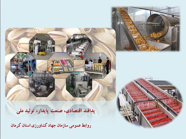 برگزاری مانور مقابله با عرضه آفت‌کش‌های غیر مجاز و تقلبی در استان کرمان 