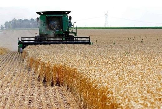 نظام مهندسی کشاورزی بازوی اجرای نوآوری در کشور باشد