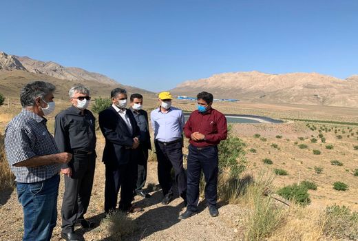 بازدید مشاور وزیر جهاد کشاورزی از شرکت کشت و صنعت شهمیرزاد