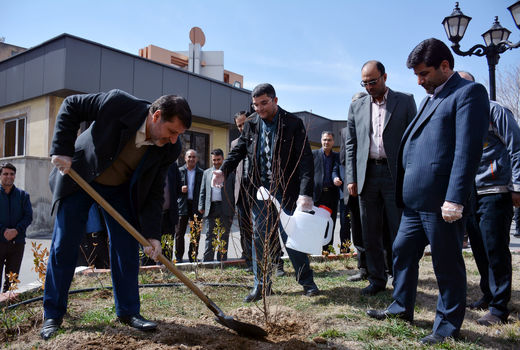 لزوم ترویج فرهنگ حفاظت همگانی از محیط زیست و فضای سبز