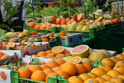 جشنواره شکرانه برداشت مرکبات در دزفول