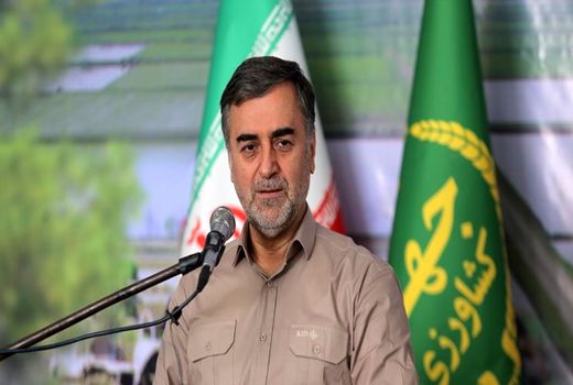 آماده‌ایم کشور را از واردات مرغ بی‌نیاز کنیم