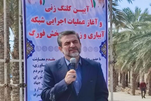 افزایش ۳۰ درصدی تولید گندم در کشور برآورد می‌شود/ لزوم اجرای صحیح الگوی کشت در کشور