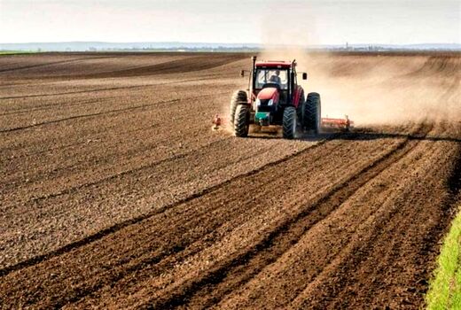طرح جهش تولید در بیش از ۴۳ هزار هکتار اراضی دیم بوکان اجرا شد