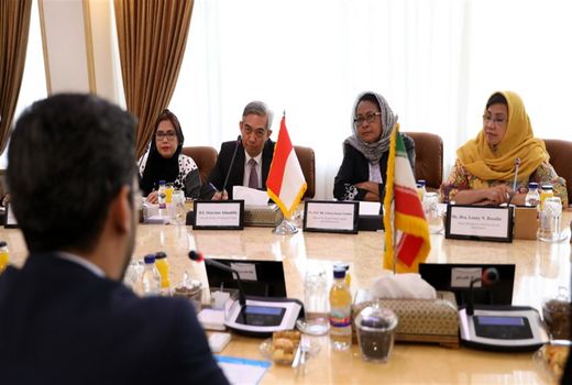 48 درصد زنان کاربر اینترنت هستند