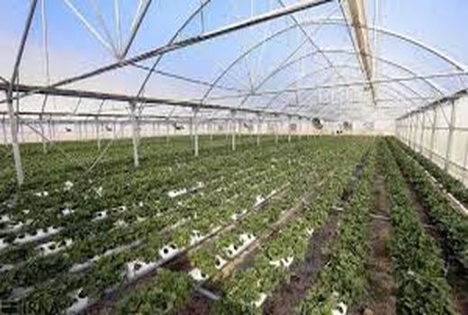 افتتاح ۴۶ طرح عمرانی و اشتغالزای بخش کشاورزی خوزستان در هفته دولت