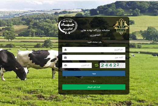 لزوم تخصیص نهاده بر اساس مشاهدات میدانی/ جذب ذرت ۹ هزار تن افزایش یافت