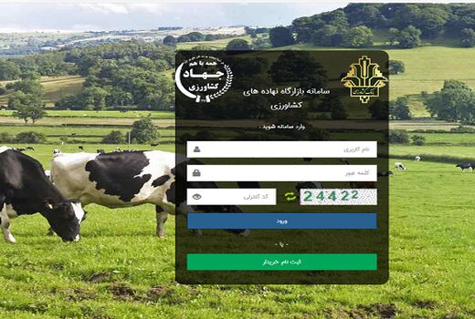لزوم تخصیص نهاده بر اساس مشاهدات میدانی/ جذب ذرت ۹ هزار تن افزایش یافت