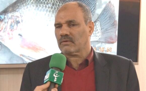 افزایش ۳۰ درصدی تولید آبزیان با بازسازی آب بندهای استان های شمالی کشور