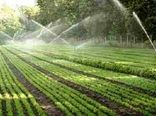 بسته های تشویقی؛ راهکار توسعه آبیاری نوین