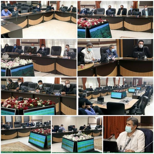 نشست بررسی مسائل و مشکلات توسعه کشت چغندر علوفه‌ای در قزوین برگزار شد