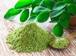 ترویج کشت گیاهان دارویی در ماهشهر