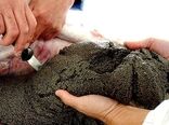۴۰ کیلوگرم خاویار در اصفهان استحصال شد