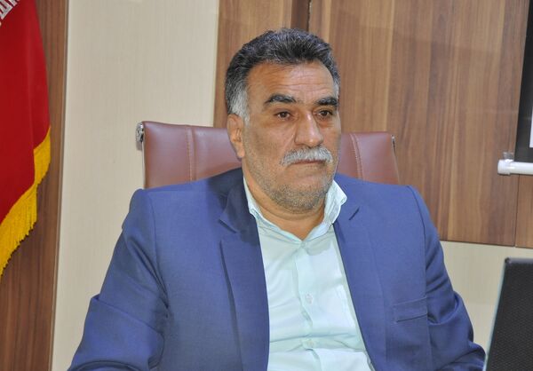 آلوده شدن68 هزار هکتار از اراضی استان به ملخ‌های مهاجم