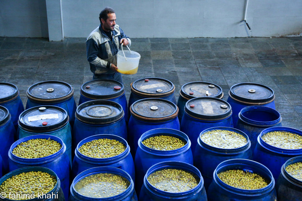 از لمس شاخه تا عصاره ی نور  