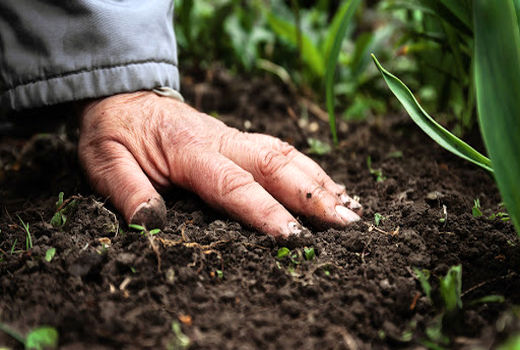 آیین‌نامه اجرایی خاک به زودی تحویل دولت می‌شود/ آغاز تهیه دستورالعمل اجرایی مدیریت بهینه خاک برای پروژه رودخانه های مرزی، دشت سیستان و...