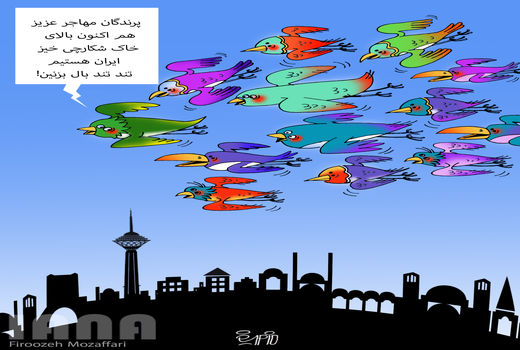 روز جهانی پرندگان مهاجر-کارتون فیروزه مظفری