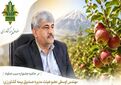 ضریب نفوذ بیمه در باغات سیب دماوند ۱۹ درصد است
