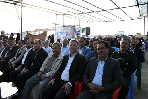 برداشت 280 هزار تن انگور از تاکستان‌های استان آذربایجان شرقی 