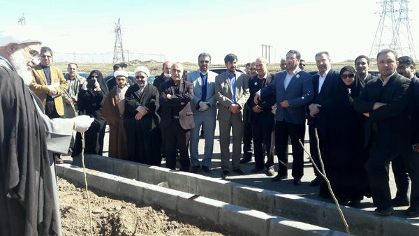 همزمان با هفته منابع طبیعی کاشت نهال در استان قزوین آغاز شد