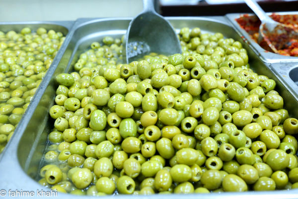 روزهای پایانی برداشت زیتون در گرمسار/ یک هزار و 550 هکتار از اراضی گرمسار زیر کشت زیتون 