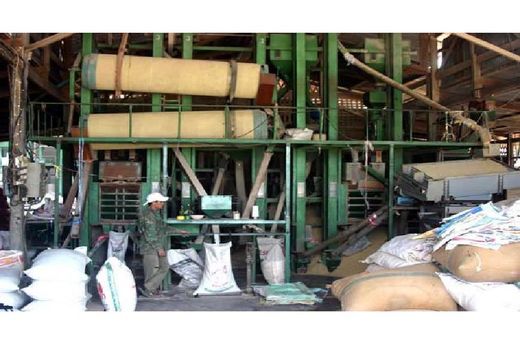 فعالیت 101 واحد شالیکوبی در ساری/ پیش بینی تولید 13 هزار تن شلتوک