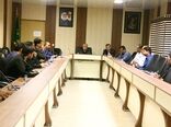 توسعه کشت دیم  بهره‌وری آب را افزایش می‌دهد