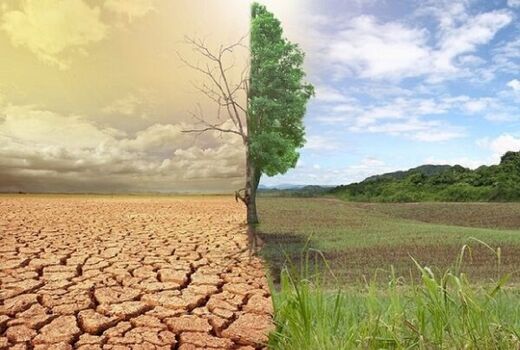۱۱ میلیارد تومان اعتبار برای بیان‌زدایی در استان بوشهر هزینه شد