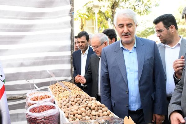 نمایش توانمندیهای کشاورزی خسروشاه در حاشیه نخستین جشنواره بادام