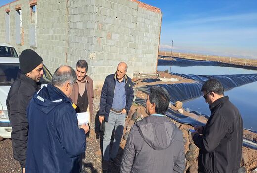 رتبه سوم آذربایجان شرقی در تولید سیست و بیوماس آرتمیا در کشور