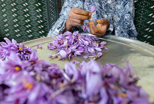 اصلاح پیمان سپاری ارزی از واجبات است