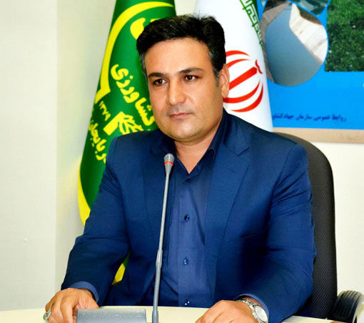  کشت 64 هکتار کلزای پائیزه برای اولین بار در شهرستان مراغه