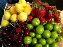 تولید 15 هزار تن میوه هسته دار در بابل