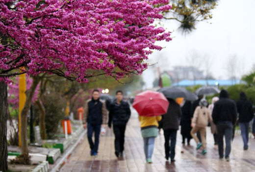 کاهش 97 میلی‌متری بارش در استان تهران