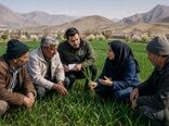 معماری شبکه‌های هم‌افزا در زیست‌بوم‌های کشاورزی