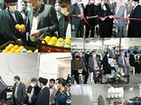 افتتاح متمرکز پروژه های شهرستان بندرگز 