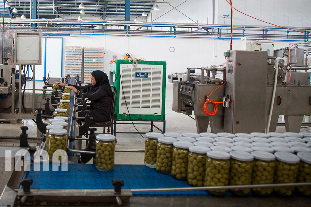 کشاورزی استان زنجان