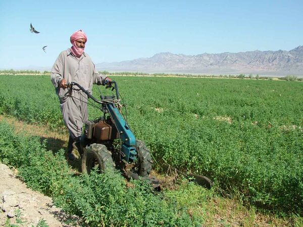 پرداخت22میلیارتومان تسهیلات به کشاورزان سیستان وبلوچستان 