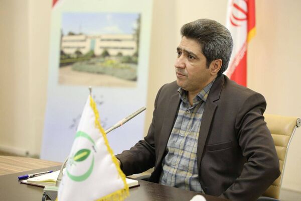 تولید برنج سالم با استفاده از روش مدیریت تلفیقی بدون آفت‌کش‌های شیمیایی