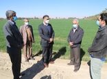 بازدید مشاور وزیر جهادکشاورزی و مدیر کل دفتر هماهنگی امور استانها از ظرفیت های بخش کشاورزی حاجی آباد
