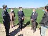 بازدید مشاور وزیر جهادکشاورزی و مدیر کل دفتر هماهنگی امور استانها از ظرفیت های بخش کشاورزی حاجی آباد